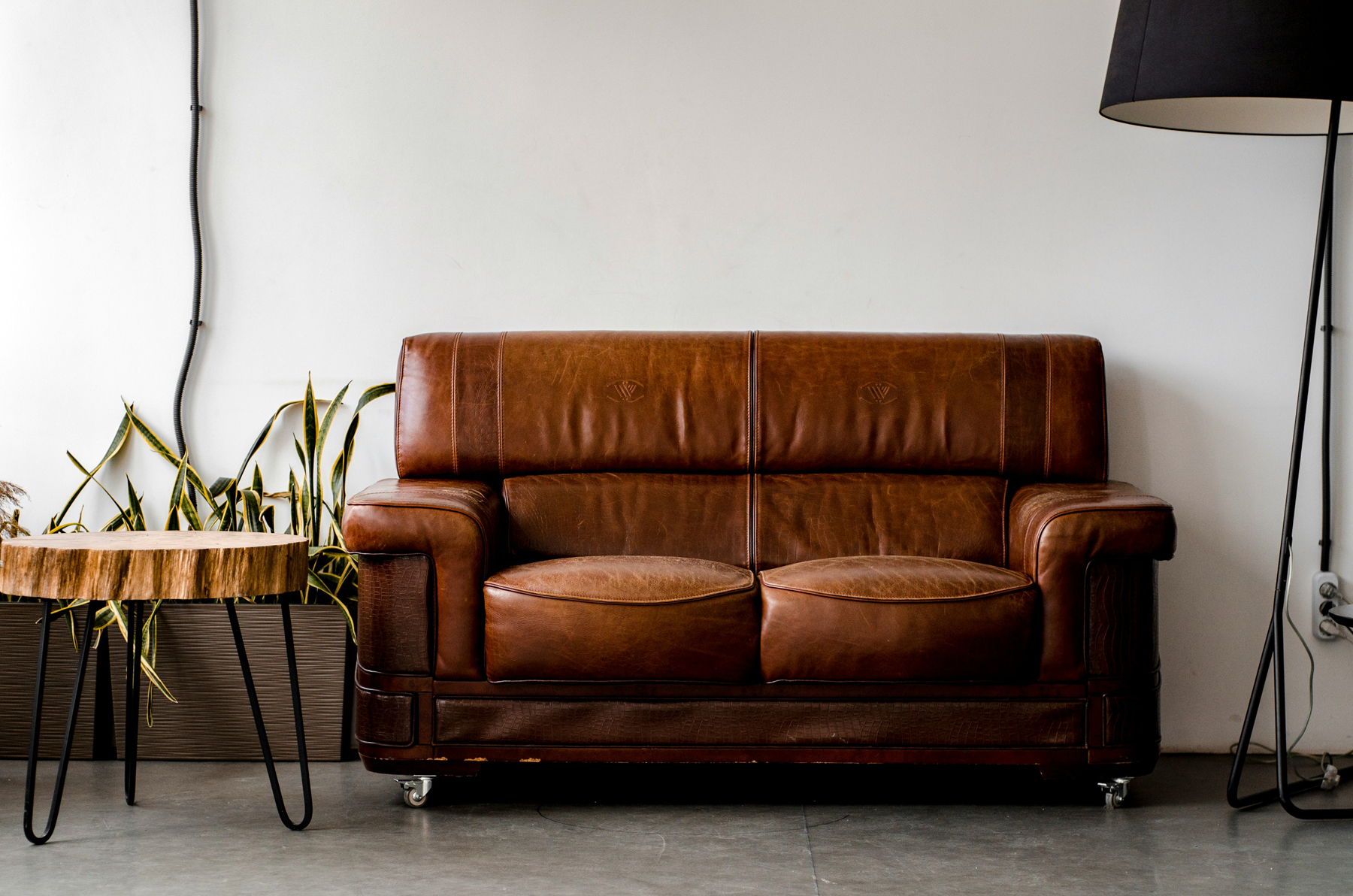 Sofa wird mit Staubsauger gereinigt